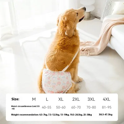 Big Dog Menstrual Panties Menstrual Period Diaper Pants Pink Peach - Shop at LoveMi