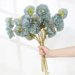 Haze Blue