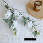 Autumn White