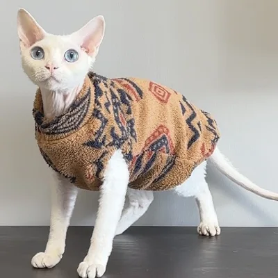 Devins Finks Pet Clothes European And American Brown Coffee Color - Shop at LoveMi
