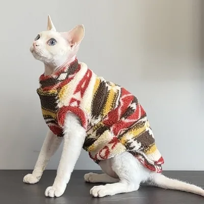 Devins Finks Pet Clothes European And American Coffee Color - Shop at LoveMi