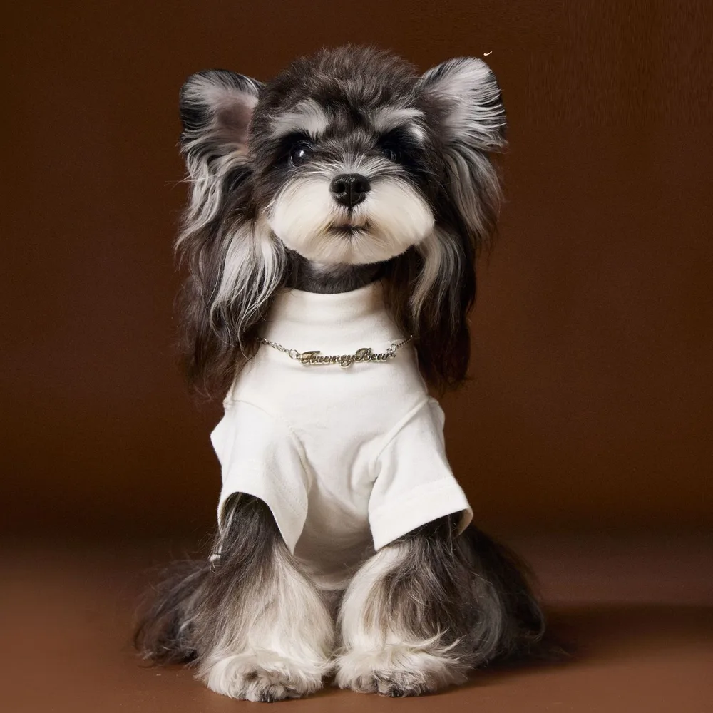 Teddy Schnauzer Bear Handsome Solid Color Bottom Shirt Two Leg Necklace Inner Coat White - Shop at LoveMi