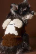 Autumn And Winter Sleeveless Teddy Schnauzer Bichon Puppy Head Three-dimensional Ear Sweater Vest - Coffee Color