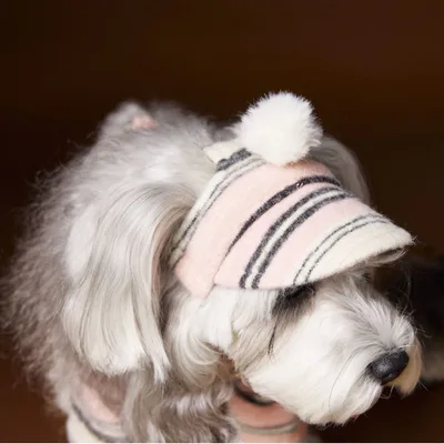 Pet Accessories Striped Fur Ball Hat Pink Hat - Shop at LoveMi