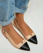 Apricot