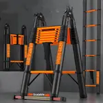 Telescopic Straight Ladder