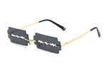 Gold Frame Gray Lens