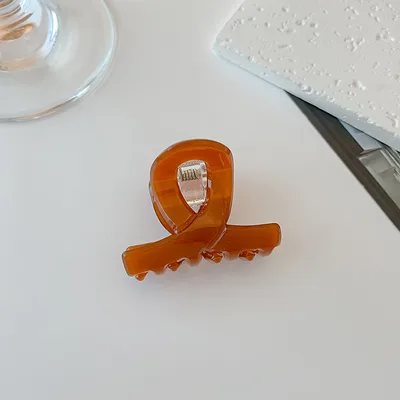 Ins Style Acetic Acid High end Small Hairpin Caramel Color - Shop at LoveMi