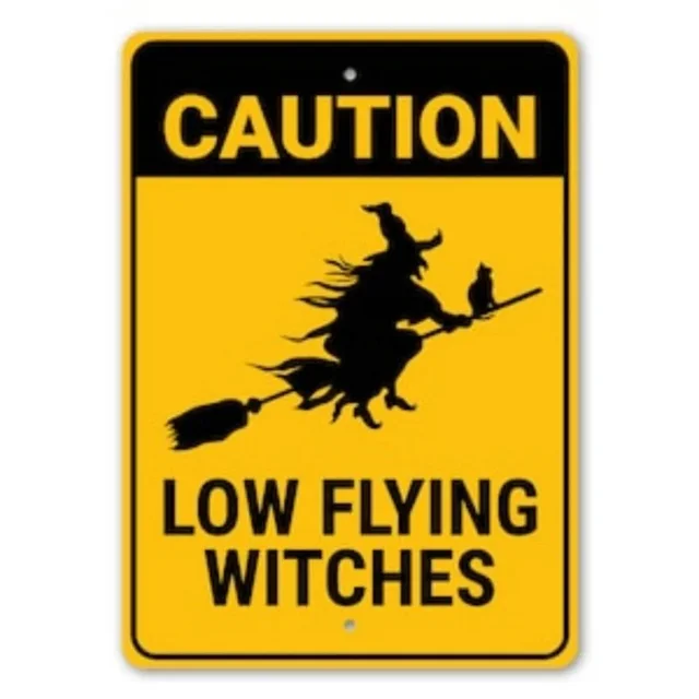 HELLOYOUNG Careful Low Flying Witch Wall Decoration Iron Crafts Tya0252 - Shop at LoveMi