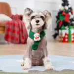 Scarf Green Snowman