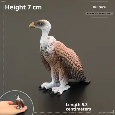 Solid Children's Simulation Animal Toys Wild Birds Stand - Shop at LoveMi