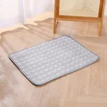 Gray Ice Silk Pad