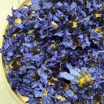 New Product Sun dried Egyptian Water Lily Herbal Tea 25G - Shop at LoveMi