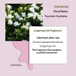 Gardenia