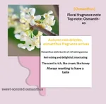 Osmanthus Fragrans