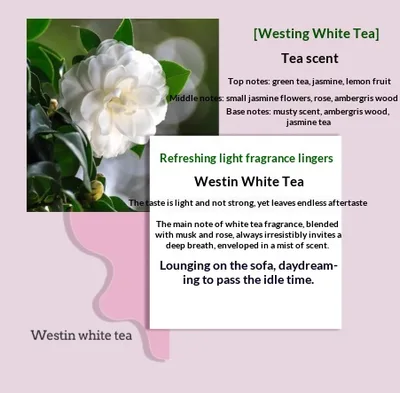 Atmosphere Creative Indoor Home Coffee Scented Candle Westin White Tea - Shop at LoveMi