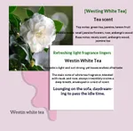Westin White Tea