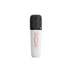 Single Microphone
