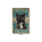 Catb03