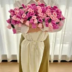 Gradient Pink Milky White