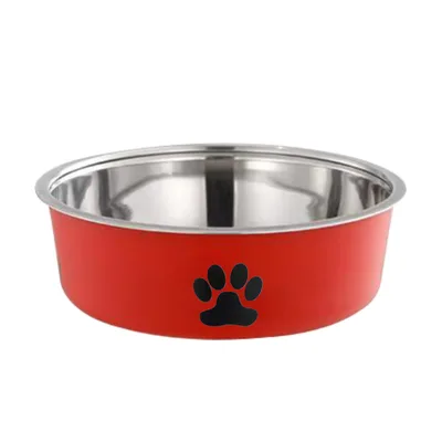 Stainless Steel High value Anti spill Pet Double layer Plastic Bowl Bright Red - Shop at LoveMi