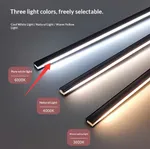 White Light 6000K