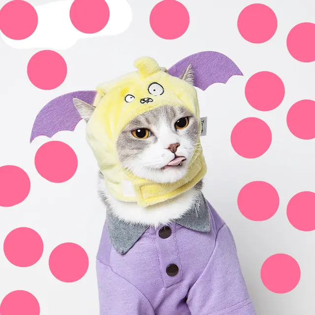 Cute transforming decorative funny pet hat - Shop at LoveMi