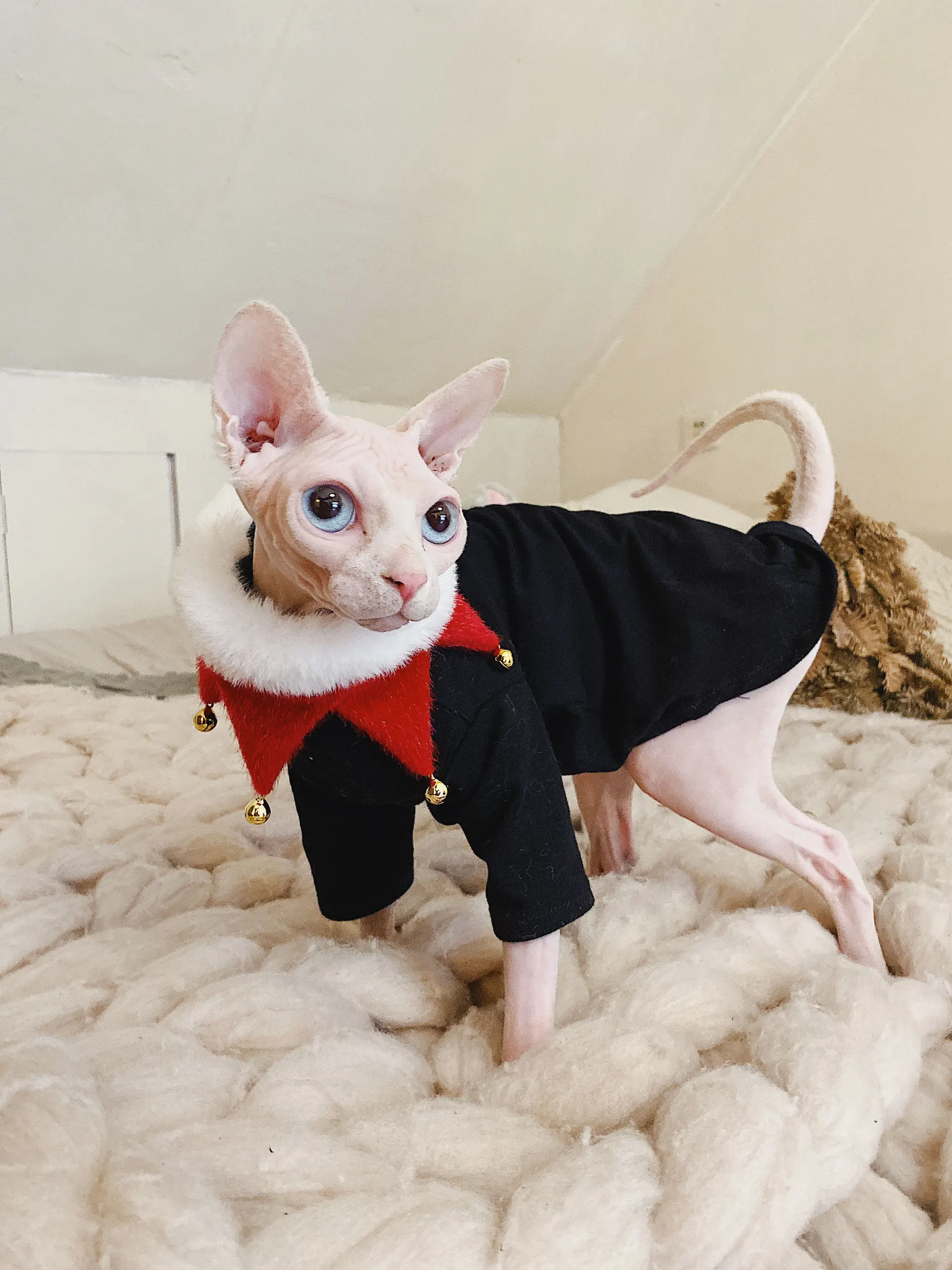 Hairless cat cotton hypoallergenic T-shirt - Black