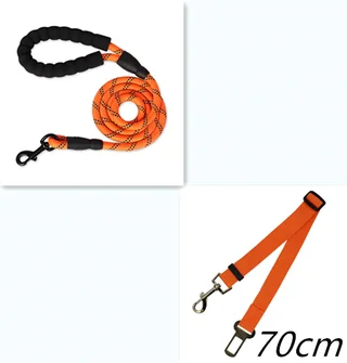 Reflective Dog Leash Nylon Pet Dog Leash Rope For Small Medium Large Dogs Walking Training Pet Suppiles - Orange Set - View 1