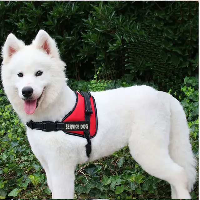 Chest strap for pet dog Red - Shop at LoveMi