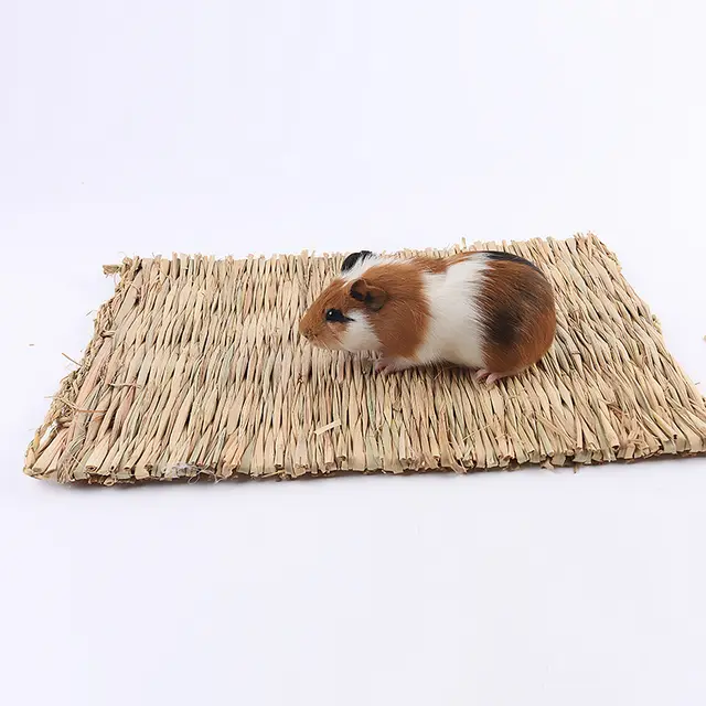 Straw mat Grass Yellow - Shop at LoveMi