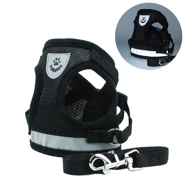 Pet Car Seat Belt Pet Leash Blacka - Shop at LoveMi