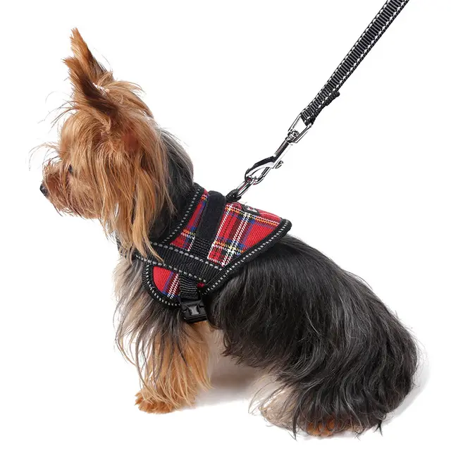 Reflective seat belt slogan dog chest back cover traction rope Red Rope - Shop at LoveMi