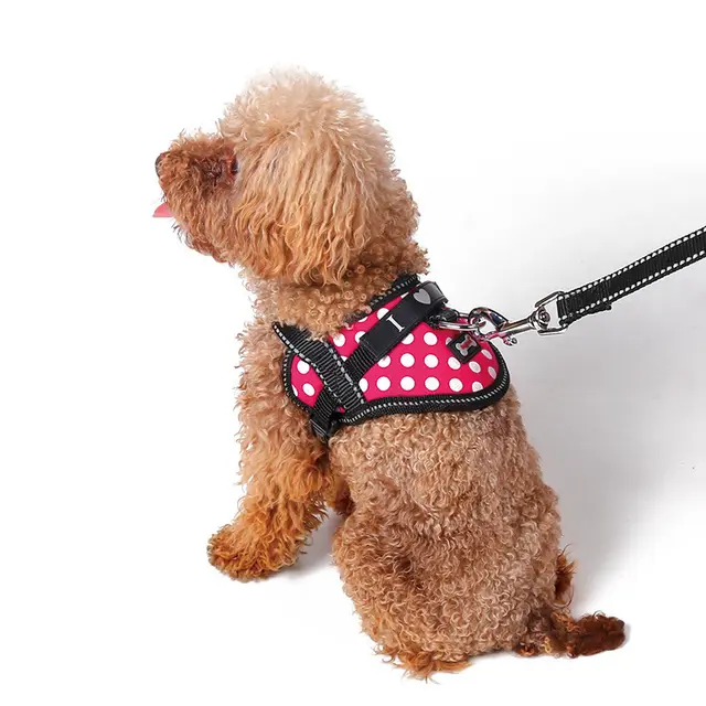 Reflective seat belt slogan dog chest back cover traction rope Rose Red Rope - Shop at LoveMi