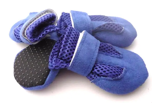 Fast Selling High End Dog Suede Cloth Shoes Antiskid Sole, Spring And Summer Pet Shoes Blue - Shop at LoveMi