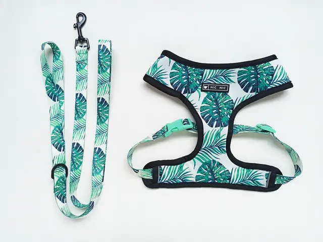 Small dog pet harness - Shop at LoveMi