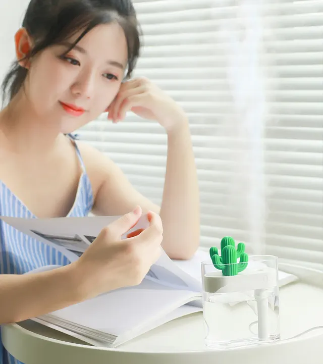 Transparent Cactus Humidifier Default - Shop at LoveMi