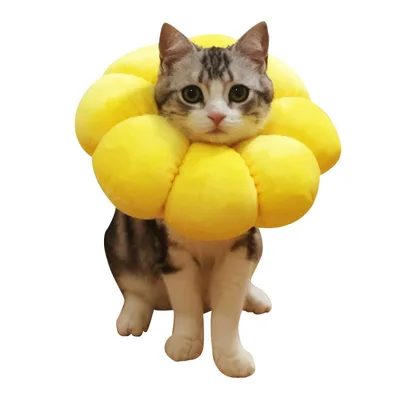Baiquanying Short Sterilization Circle Skin Disease Yellow - Shop at LoveMi