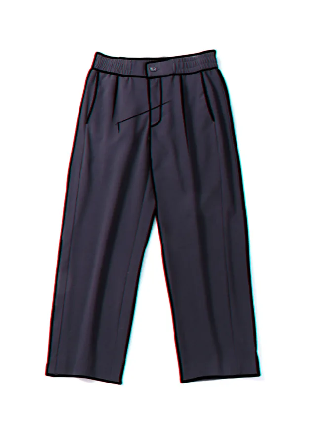 Spring Harlan loose wide leg pants Black - Shop at LoveMi