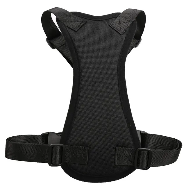 Car seat belts for pets Black - Shop at LoveMi