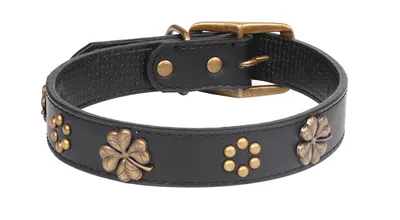 Vintage bronze metal buckle pet collar Black - Shop at LoveMi