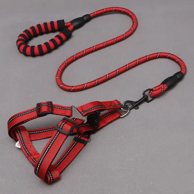 Reflective nylon traction rope Red - Shop at LoveMi