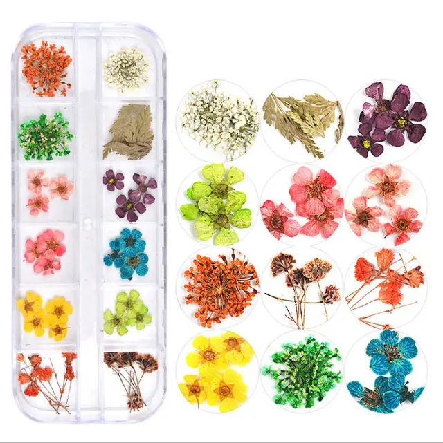 Nail Art Dried Flowers C12 - Shop at LoveMi