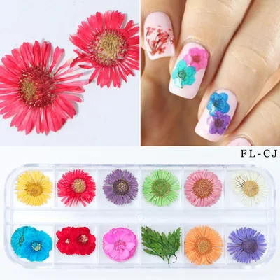 Nail Art Dried Flowers Fl Cj - Shop at LoveMi