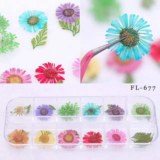 Nail Art Dried Flowers Fl677 - Shop at LoveMi