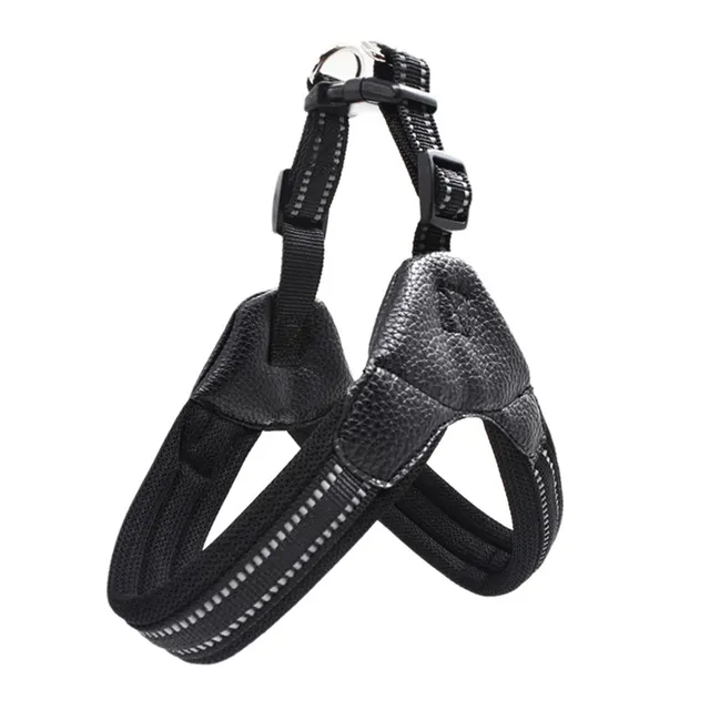 Reflective leash for dog Black - Shop at LoveMi
