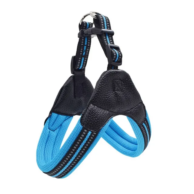 Reflective leash for dog Blue - Shop at LoveMi