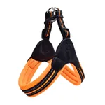 Reflective leash for dog - Orange - View 1