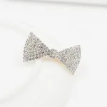 Big Bow Tie