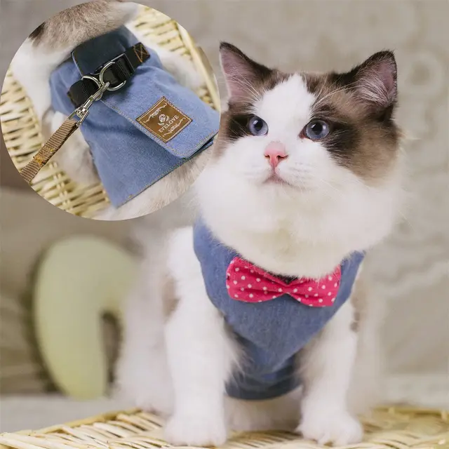 Rope Cat Traction Cat Chest Strap Set Bow D - Shop at LoveMi